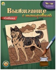 Лучшие Выжигание и выпиливание Рыжий кот