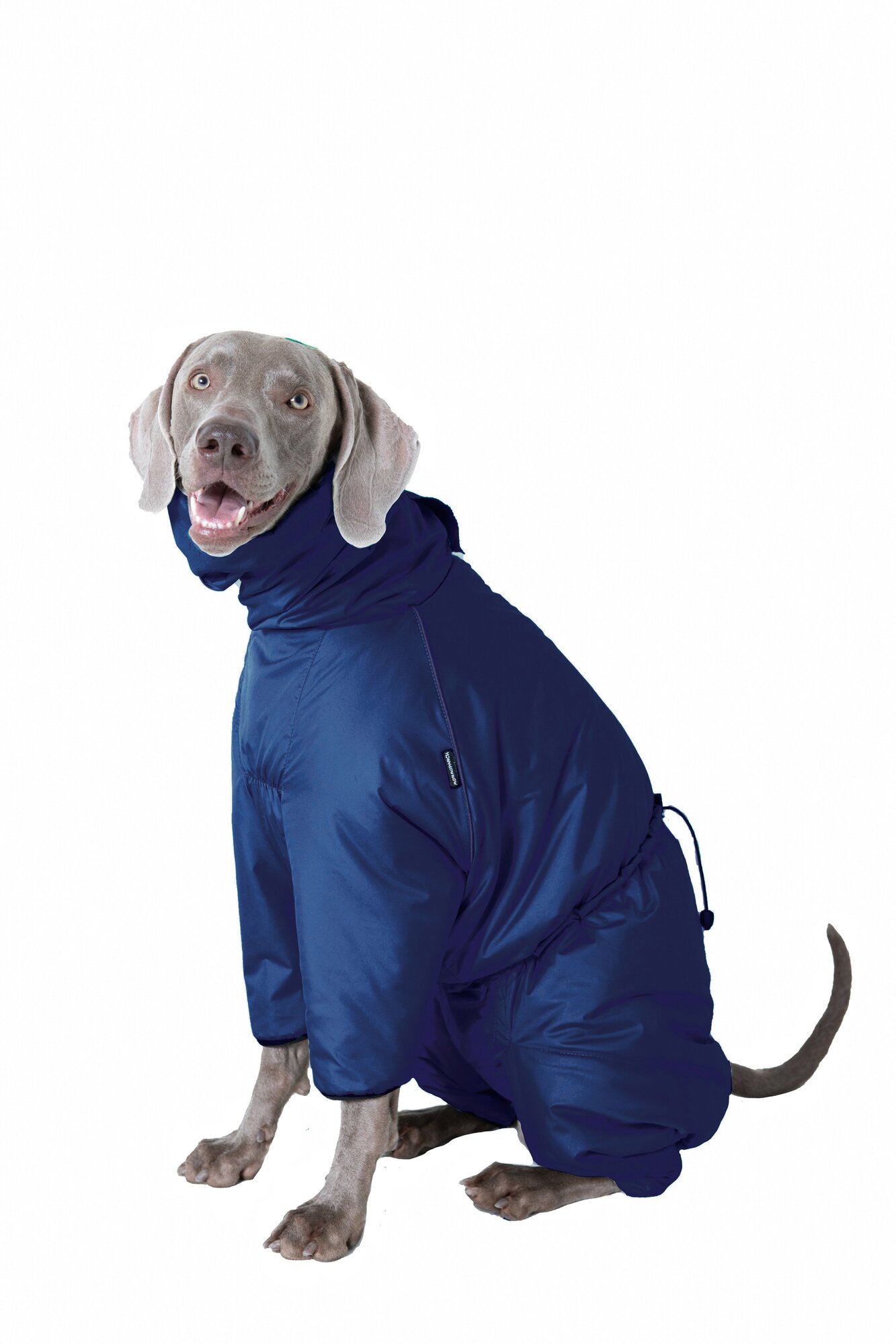 Дождевик комбинезон для собак средних пород, цвет т.синий/черный, М4 - фотография № 3