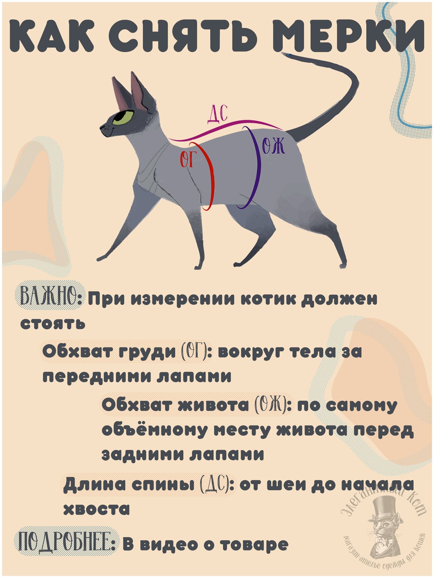 Одежда для кошек, котов и маленьких собачек - стильная майка с рисунком Домашняя радуга, подходит для сфинксов - фотография № 9