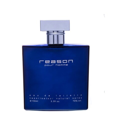 Туалетная вода мужская Reason pour homme, 100 мл