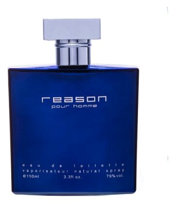 Туалетная вода мужская Reason pour homme, 100 мл