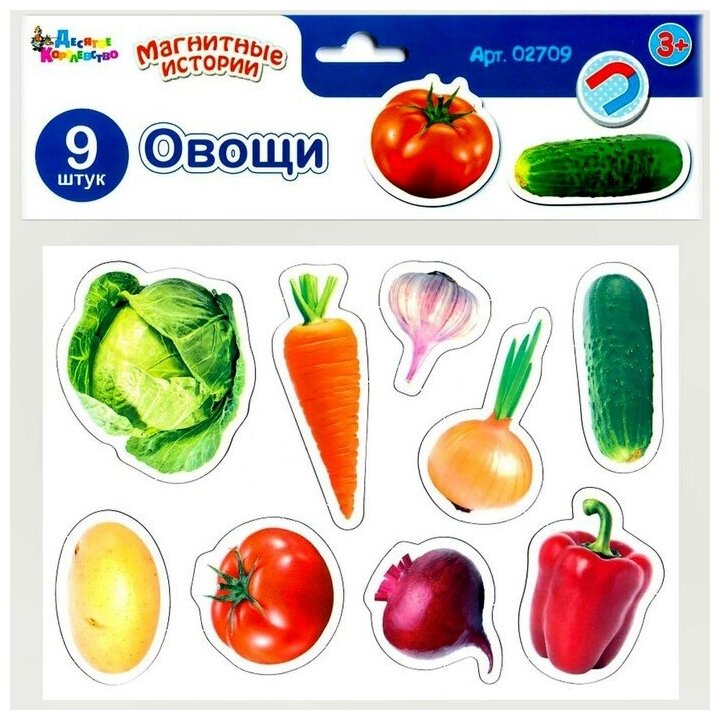 Магниты Овощи 5 шт