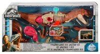 Набор Mattel Jurassic World Анатомия динозавра FTF13