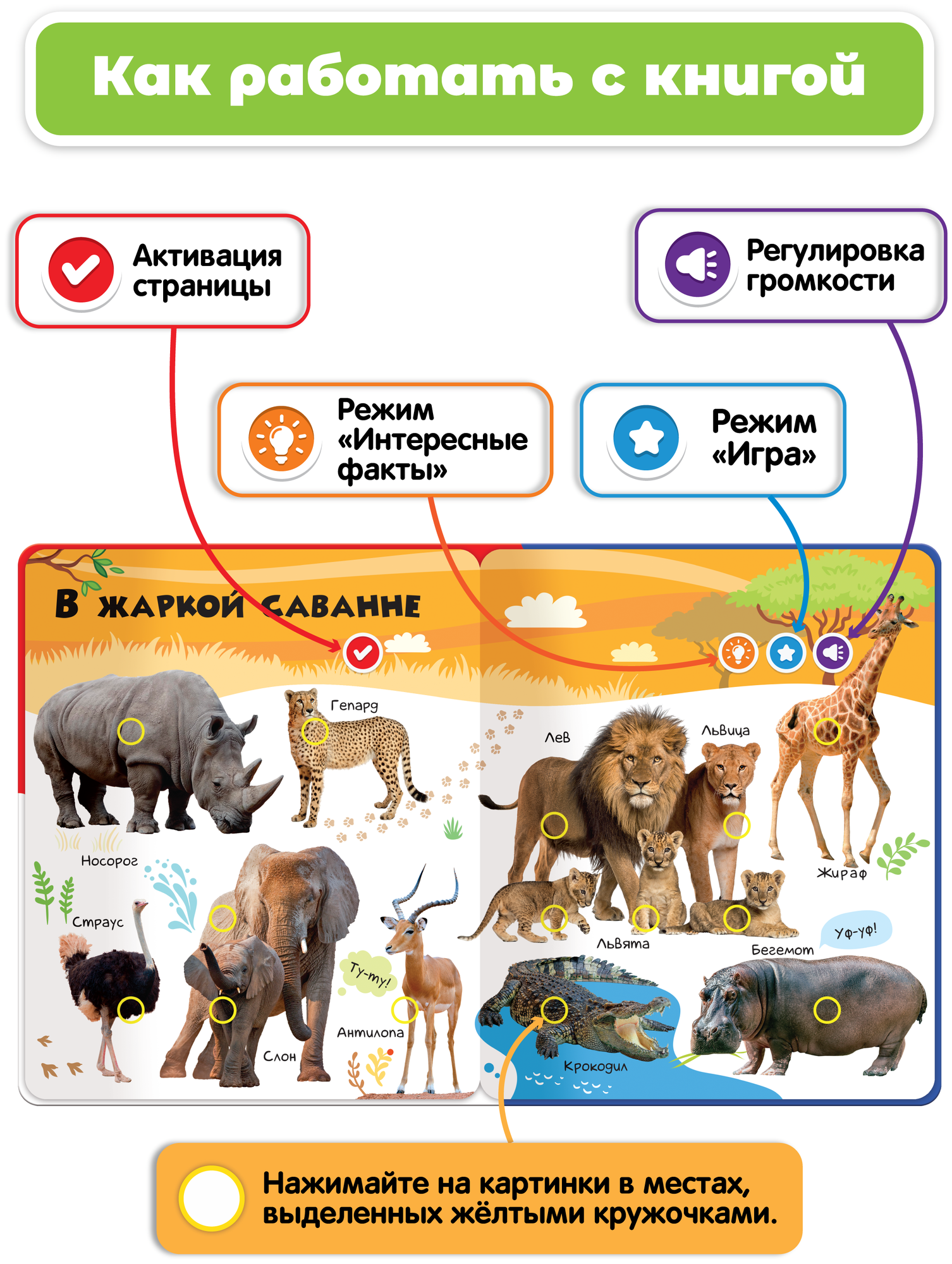 Нажималка. Животные. Говорящая интерактивная электронная книга - фото №4