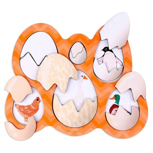 белый, белый, оранжевый