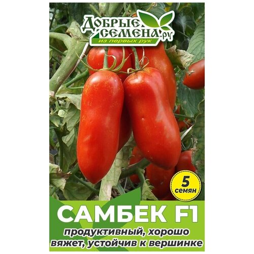 Семена томата Самбек F1 - 5 шт - Добрые Семена. ру семена томата тезоро f1 5 шт добрые семена ру