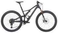 Горный (MTB) велосипед Specialized S-Works Stumpjumper ST 29 (2019) satin/carbon/storm grey XL (185-