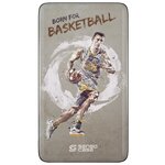 Аккумулятор Sensocase Power Bank SC-10K Basketball, 10000 mAh - изображение