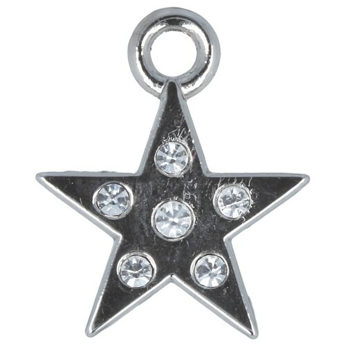 TORIONI PT032 Подвеска 20 х 25 мм №04 никель (прозрачный) 1715836852