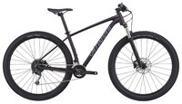 Горный (MTB) велосипед Specialized Women's Rockhopper Expert (2019) gloss acid mint/acid kiwi/clean 