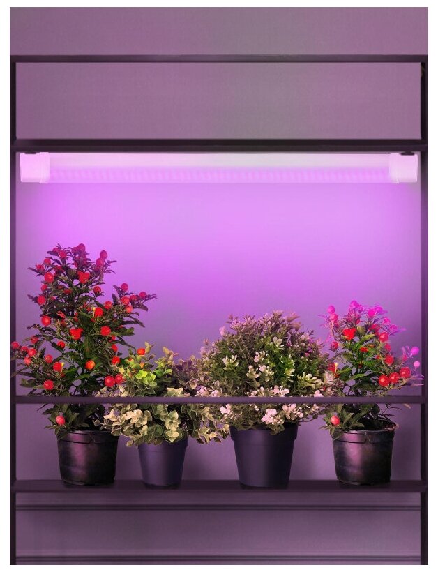 Светильник светодиодный для растений 36Вт IP65 1234х77,2х39,2 FITO-36W-RB-N фито ЭРА