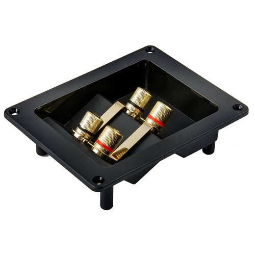 Терминал акустический Aura WTB-930P 204500₽