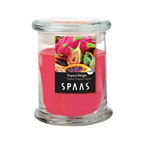 Свеча Spaas ароматическая в стакане Тропический восторг - Атрибут вашего дома