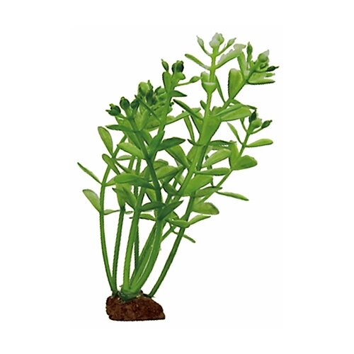 Искусственное растение ArtUniq Ротала 10 см, набор 6 шт. 10 см зеленый искусственное растение artuniq marsilea 10