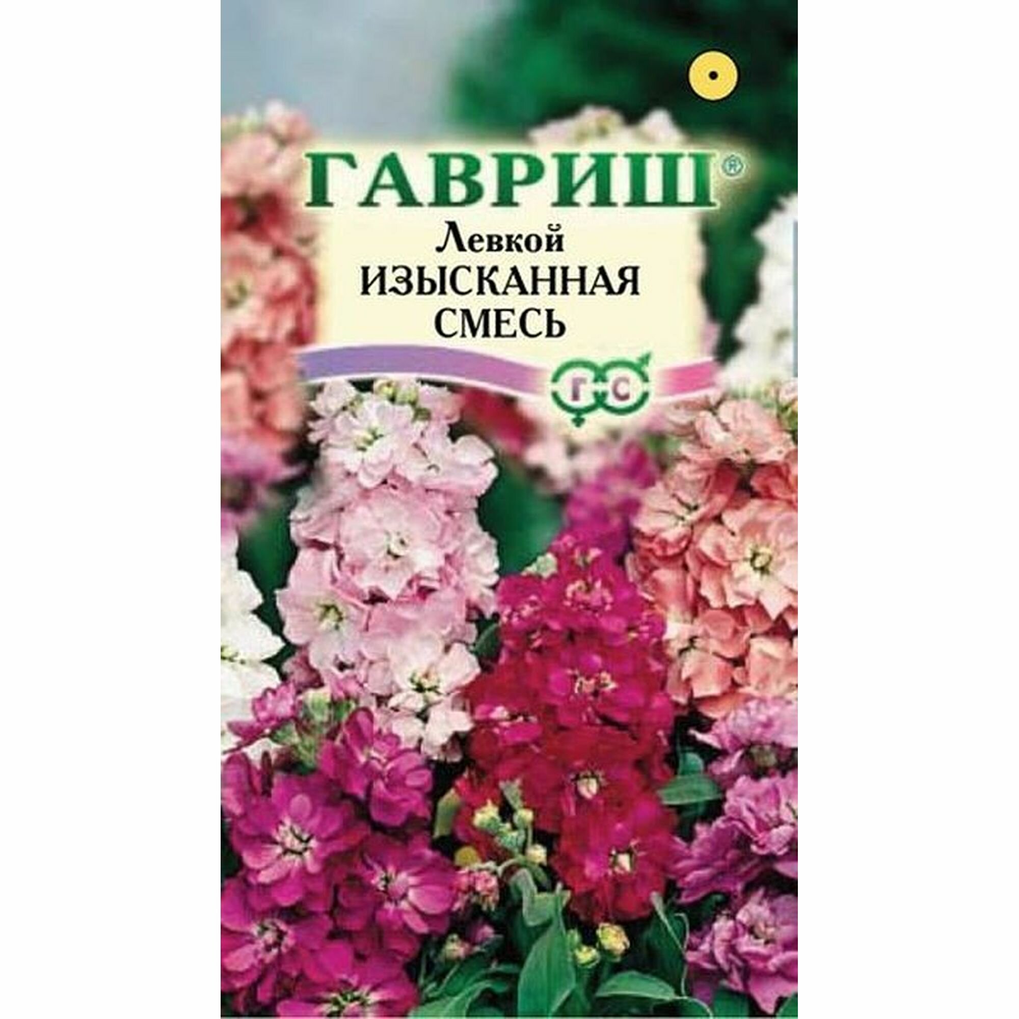 Семена Левкой Изысканный смесь однолетник Гавриш - Сад ароматов 1 пачка - 0.1г семян