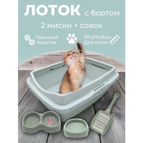 Набор лоток с бортом с мисками и совком лоток для котят туалет для кошек маленький ментол 771₽