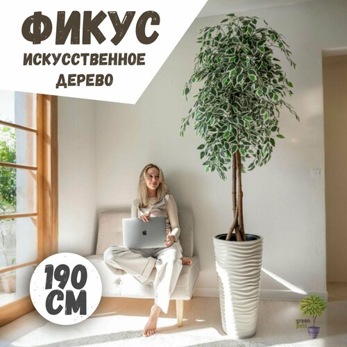 Искусственное дерево Фикус / декоративное дерево в белом кашпо 190 см