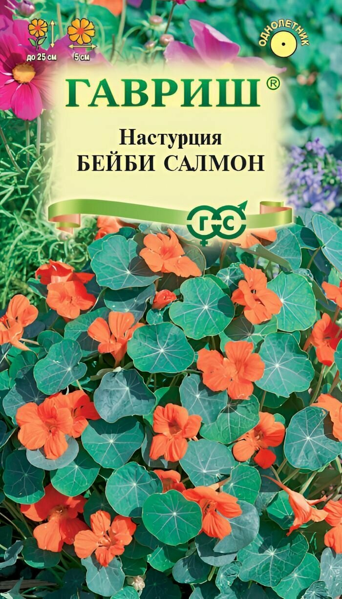 Цветы Настурция Бейби салмон