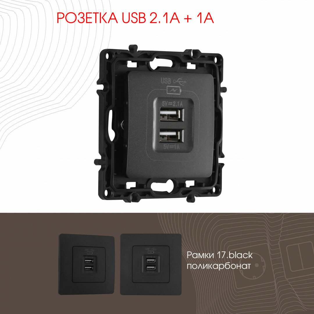 Розетка USB 2.1А+1А 217.46-1. black Arte Milano