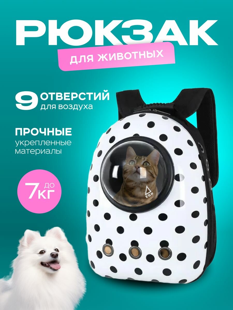 Переноска