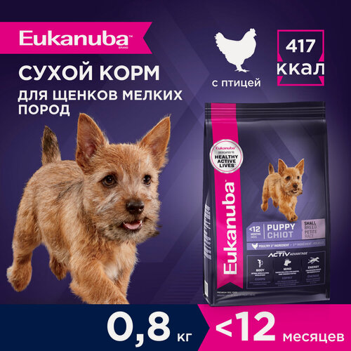 Изображение товара Сухой корм для щенков Eukanuba Puppy Small Breed для мелких пород , 0,8 кг
