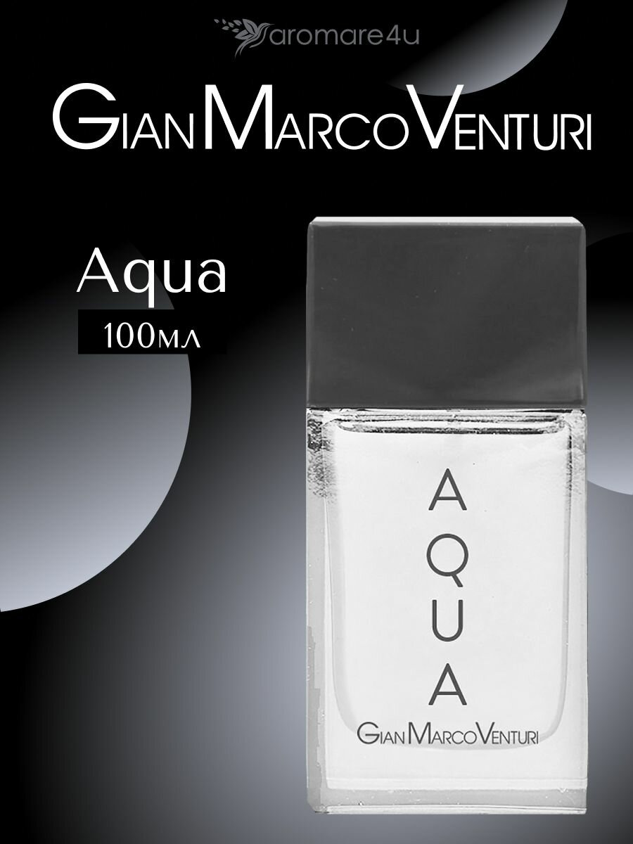 Духи мужские. Туалетная вода Gian Marco Venturi Aqua. Жан Марко Вентури Аква. Для мужчин. 100 мл.