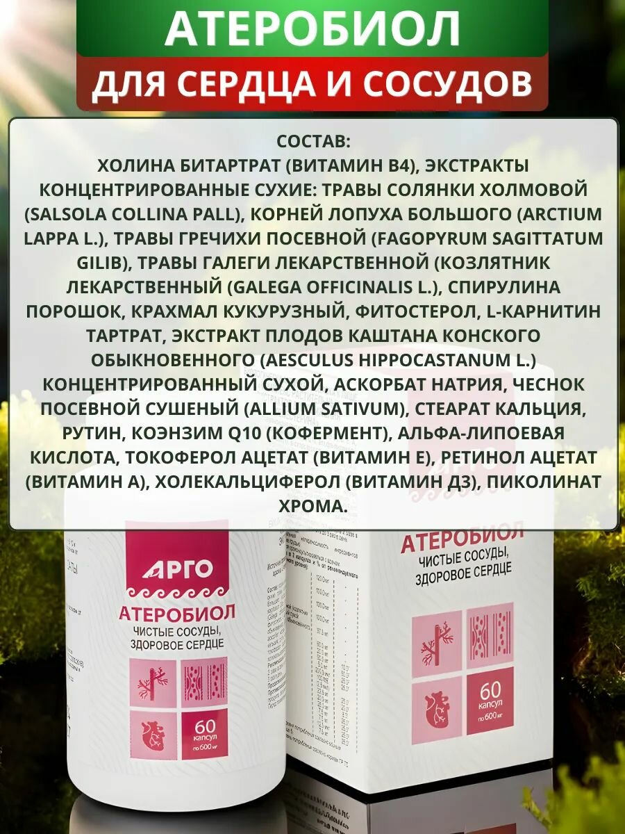 Изображение Атеробиол, 30 капсул. БАД Комплекс растительных экстрактов для снижения холестерина от Биолит для сердца и сосудов