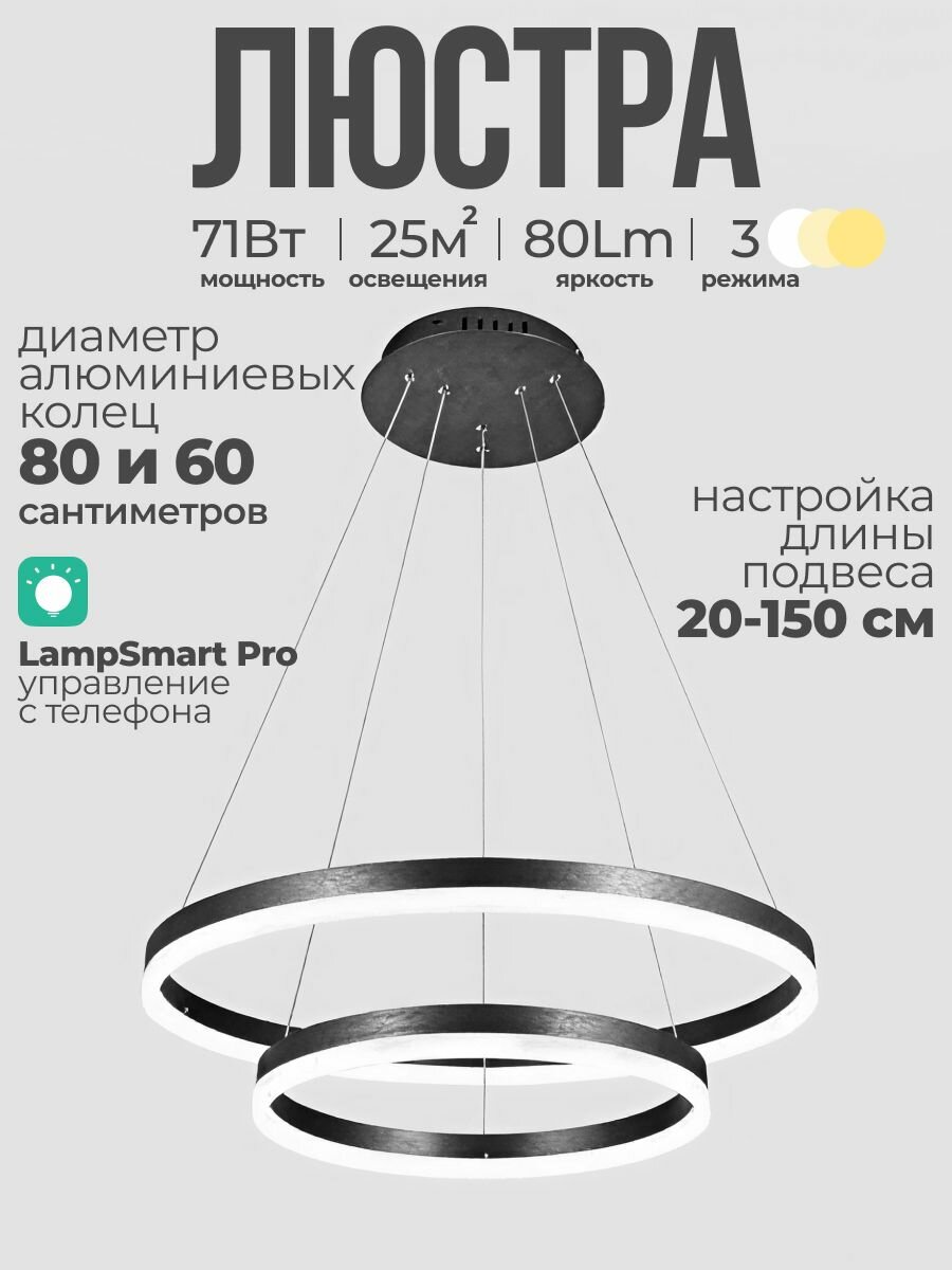 Люстра кольцевая LED 2 кольца 60 80 см