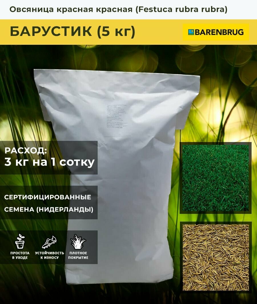 Семена газона Овсяница красная сорт Барустик Barenbrug  5 кг 