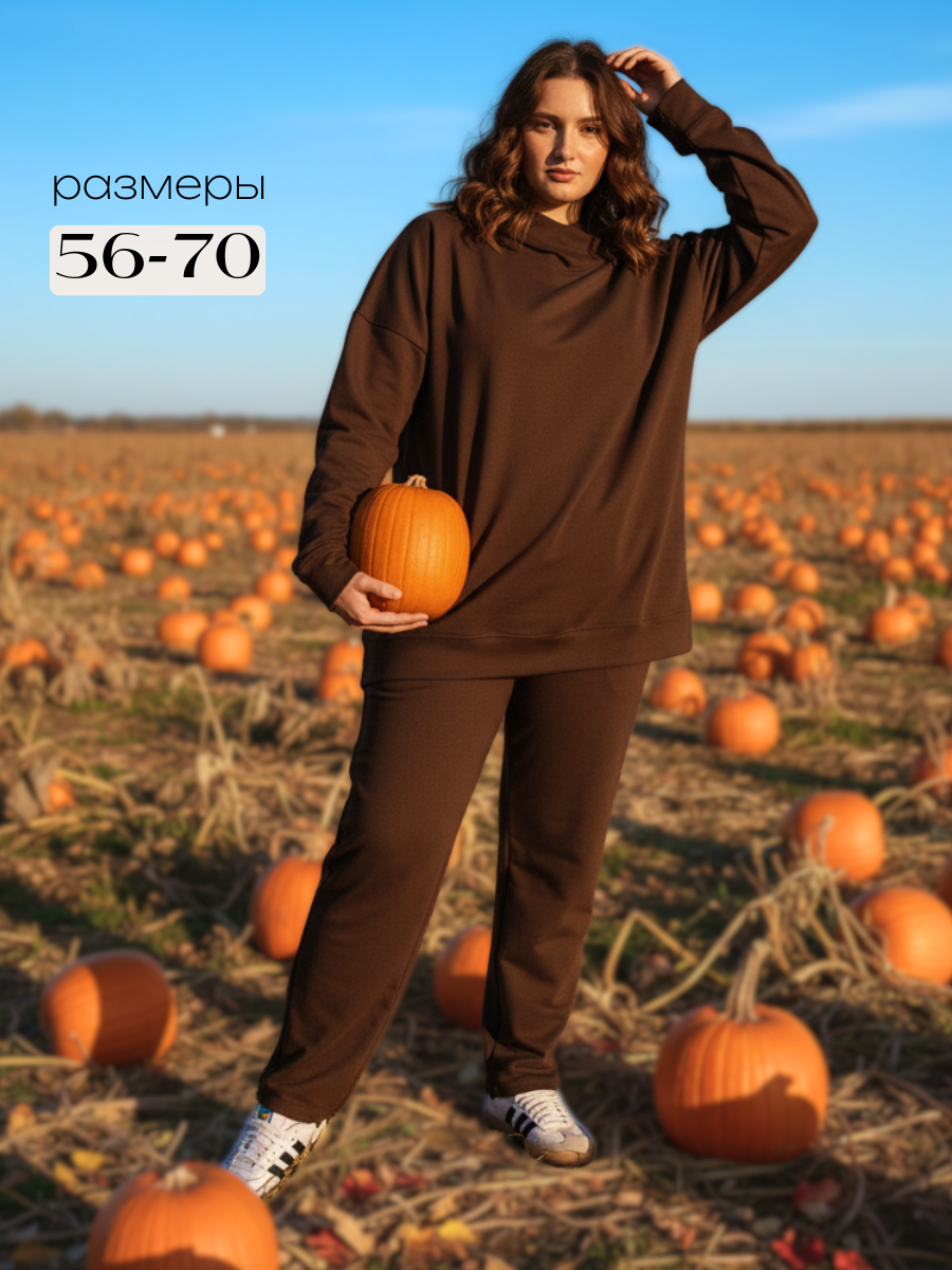 Комплект одежды IHOMELUX размер 60-62 шоколад