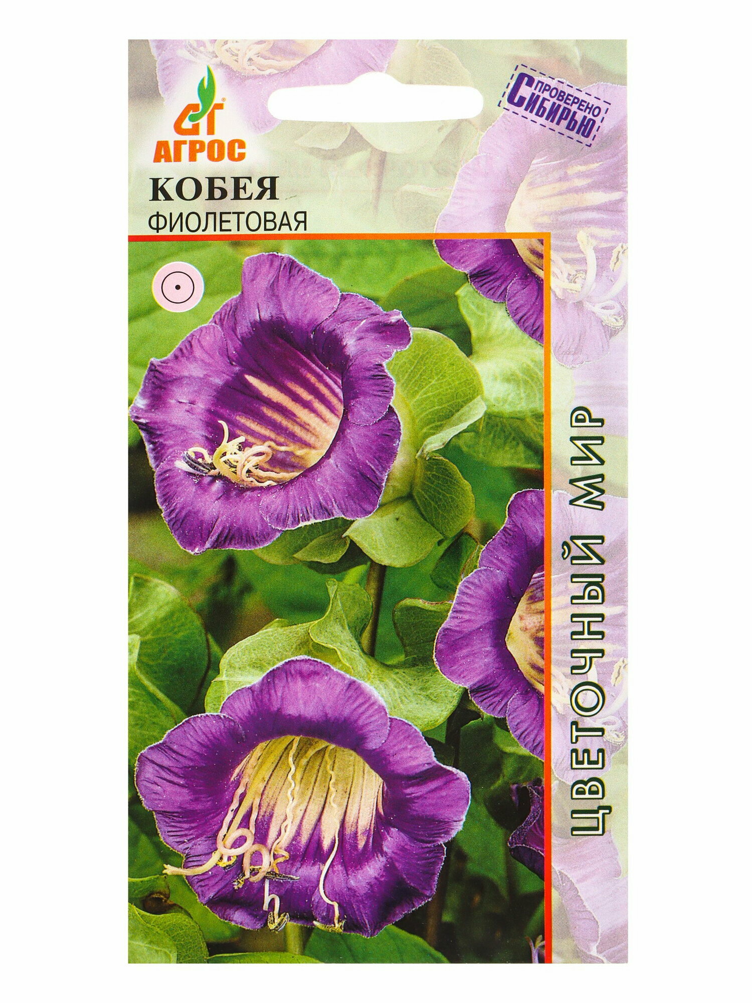 Семена Кобея 