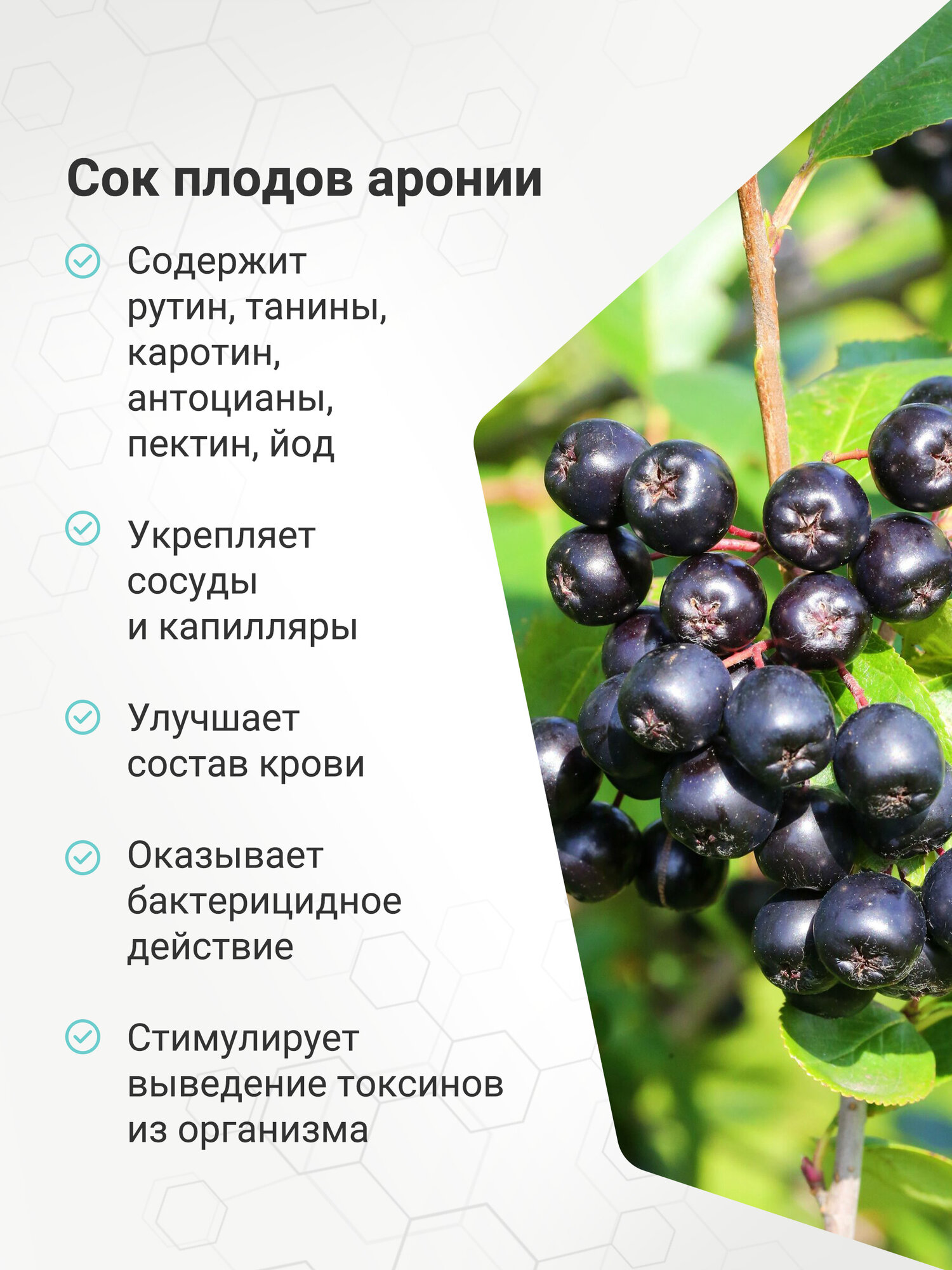 Биолит Сироп Лохеин, 100 мл, поддержка печени — фото 1