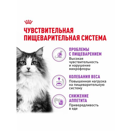 Royal Canin Sensible для кошек с чувствительным пищеварением Птица, 4 кг.