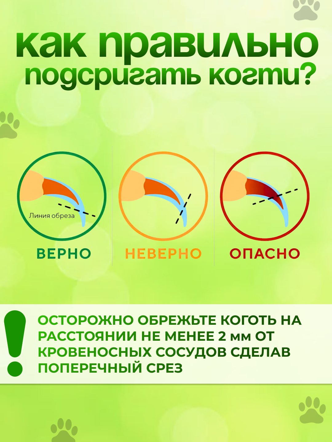 Когтерезы, Секаторы Для Стрижки Когтей Oukeelar Когтерез-ножницы для груминга кошек и собак малых пород, секатор для животных, ножницы для стрижки когтей, кусачка