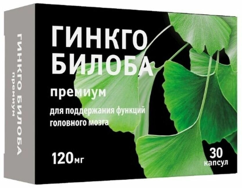 Картинки ERZIG, Гинкго Билоба Премиум 120мг №30, для поддержания функций головного мозга