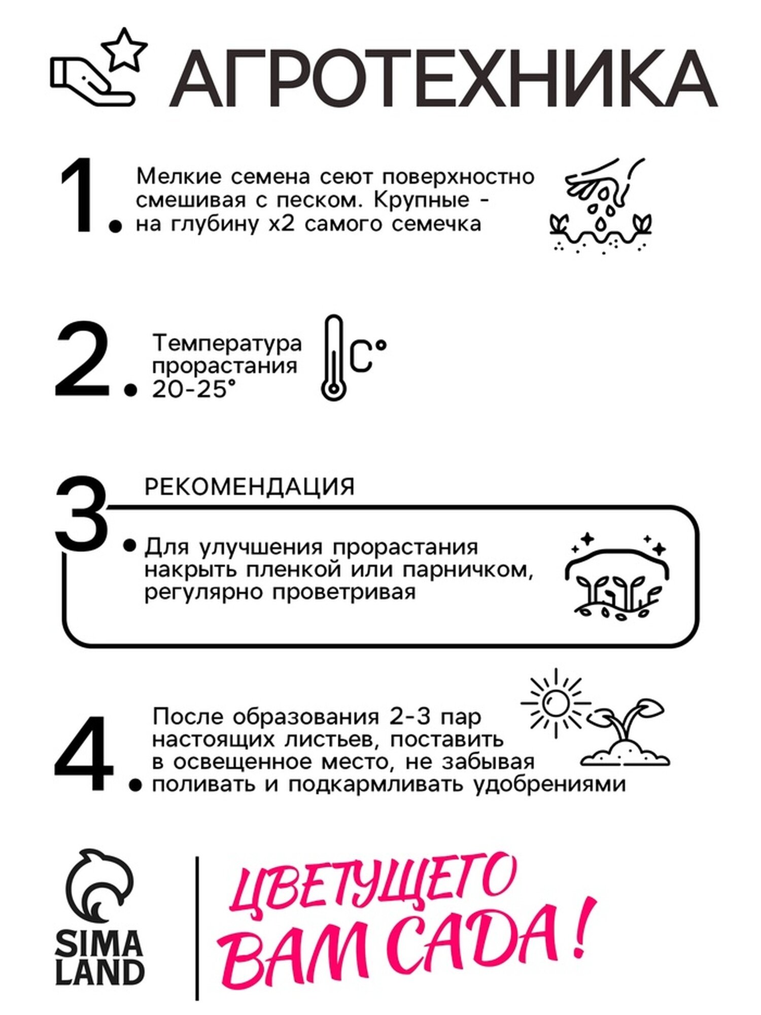 Семена цветов Пеларгония "Кабаре" смесь, Мн, DARIT, F2, 4 шт. — фото 1