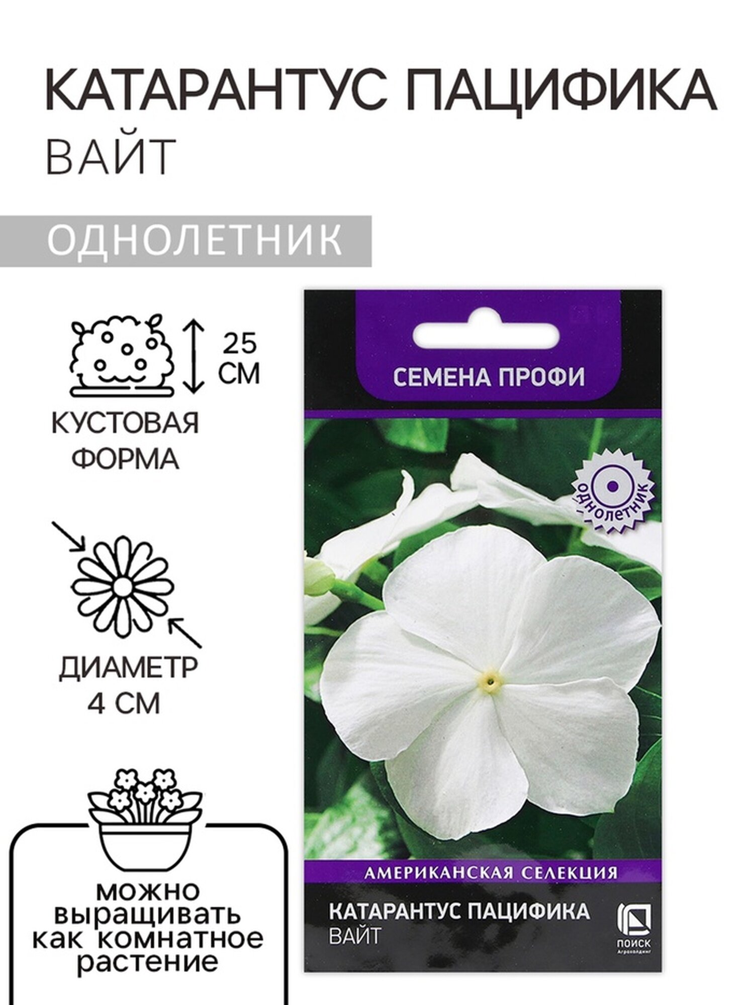 Семена цветов поиск 