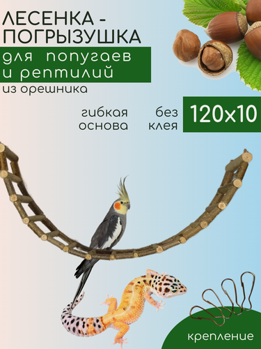 Изображение товара Подвесная лесенка для попугаев, дерево орешника, ручная работа, 120x10 см