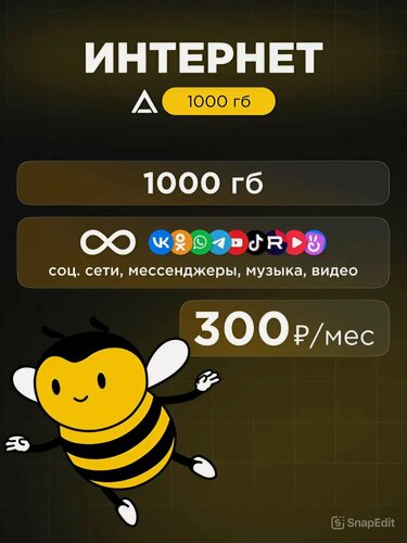 Изображение товара Симкарта Билайн тариф 1000ГБ 3G/4G для всех устройств 300 р/мес.