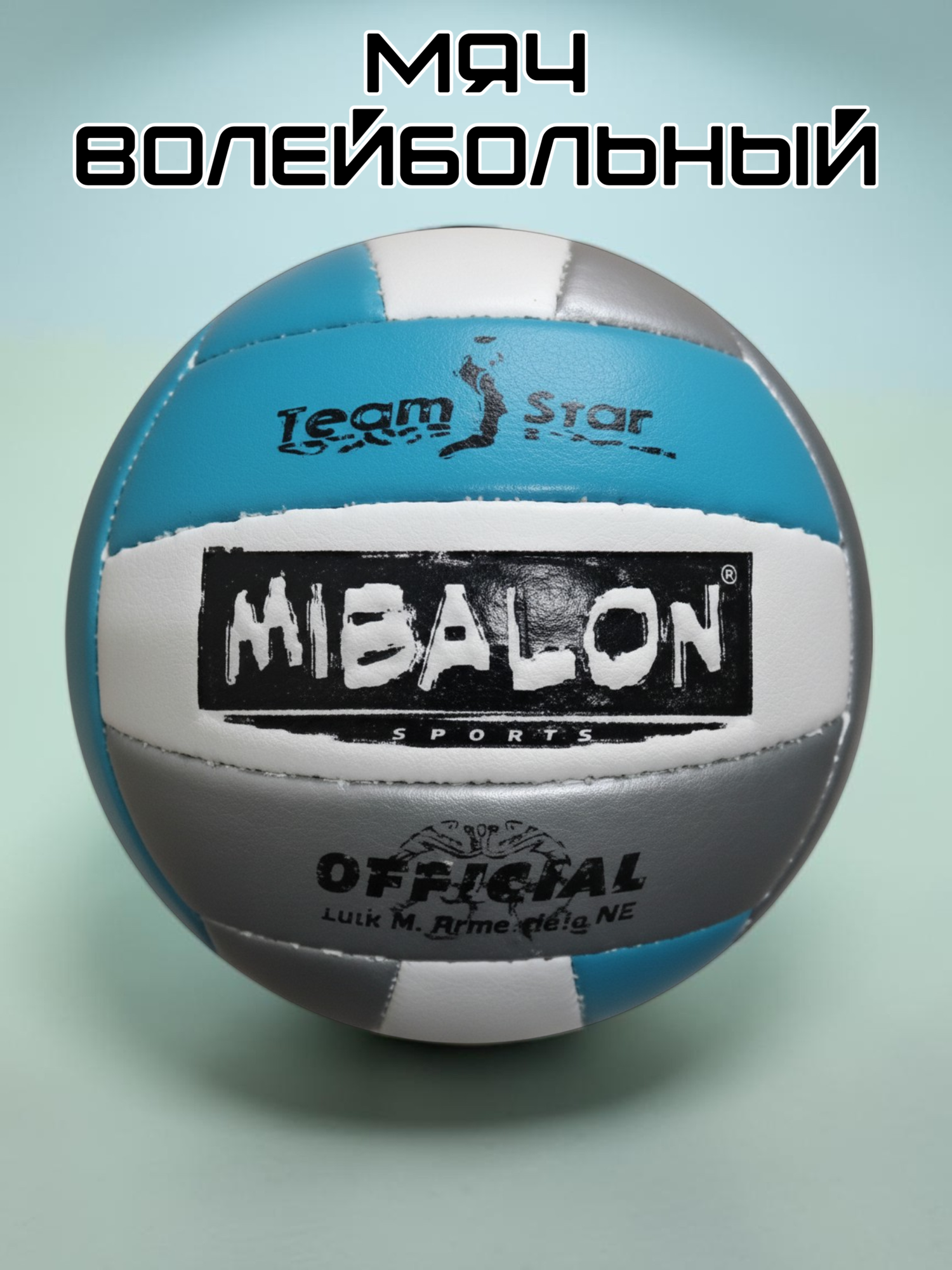 Волейбольный мяч Team Star Mibalon, машинная сшивка, серебро