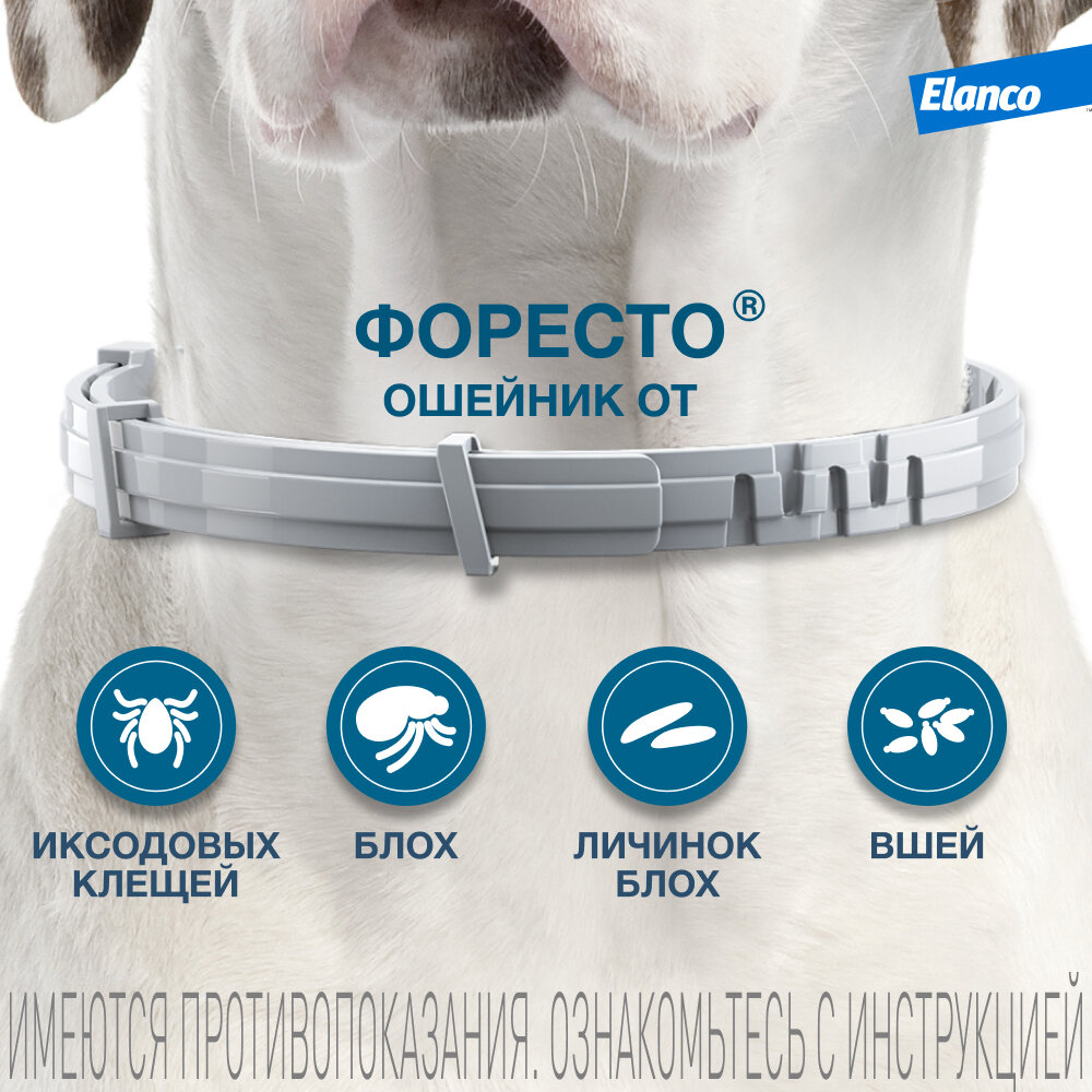 Ошейник Форесто (Elanco) от клещей и блох для собак более 8 кг — фото 1
