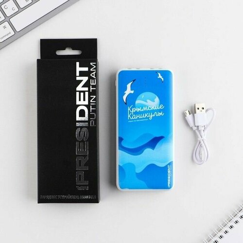 Зарядное устройство Крымские каникулы 8000мА модель PB-23 145 х 69 см 1635₽