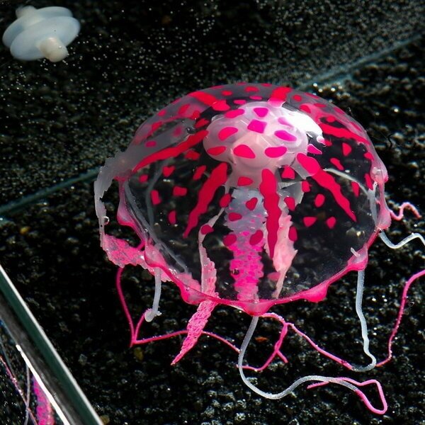 Декор для аквариума"Медуза" силиконовая, с неоновым эффектом, 10 х 10 х 20,5 см, розовая 7108871 . - фотография № 11