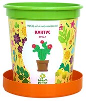 Набор для выращивания Happy Plant Горшок подарочный Кактус Егоза