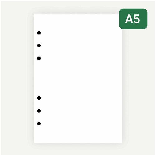 Сменный блок А5 без разметки для ежедневников и тетрадей на 6 кольцах. Подходит для PowerBook. Бумага 100 г/м2. 80 листов.