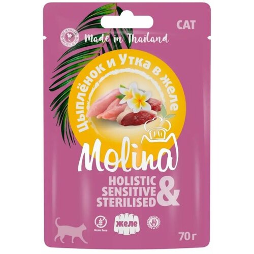 корм для кошек molina цыпленок и утка в желе пауч 70г Пауч Molina для котят и кошек, Цыпленок и Утка в желе, 70г