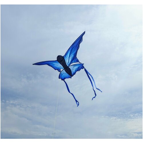 Воздушный змей бабочка 