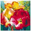 Color Kit Открытка по номерам ''Нежные тюльпаны'' 30х30 см (AC019) - изображение