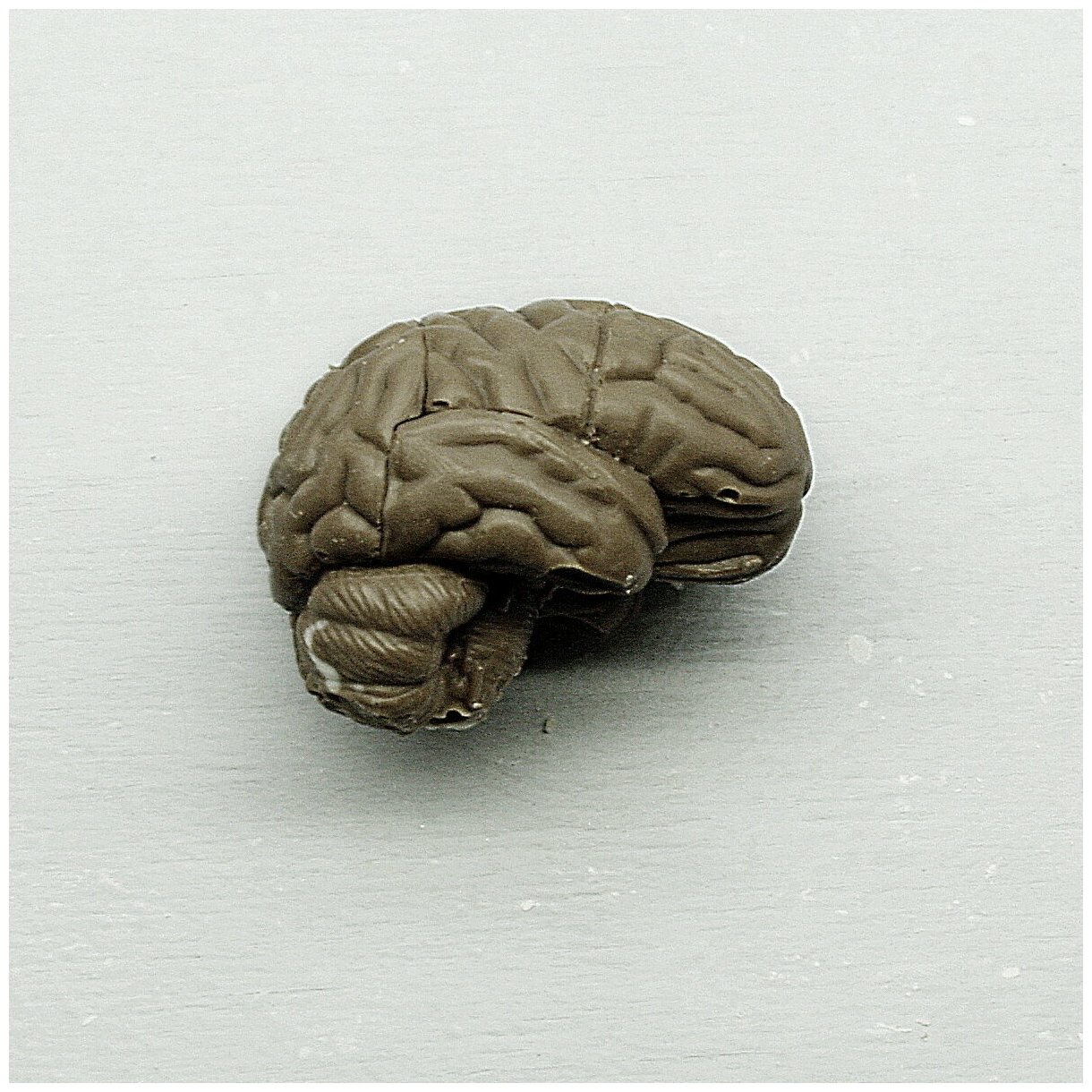 Подарочная шоколадная фигура Frade/Фраде - Мозг (вес-40г) (темный) - фотография № 3