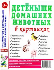 Детеныши домашних животных в картинках. Наглядное пособие для педагогов, логопедов, воспитателей и родителей (Гном)